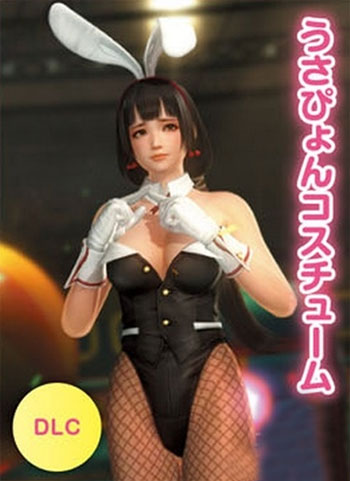 《死或生5：最后一战》最新截图(11)