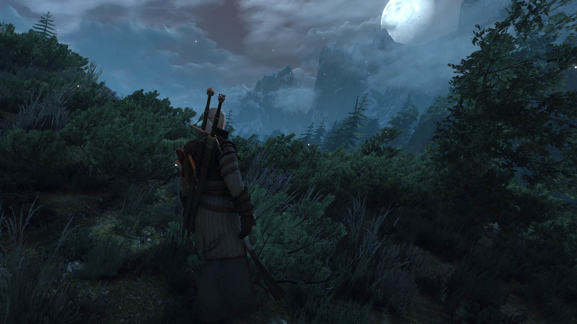 《巫师3》Mod高清截图壁纸(18)