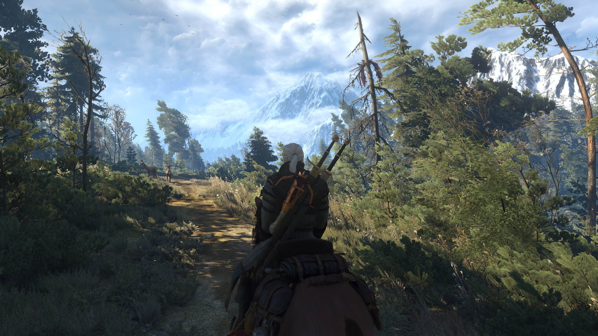 《巫师3》Mod高清截图壁纸(12)