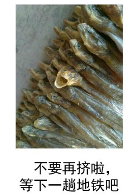 微博恶搞日式冷吐槽第六十五弹(8)