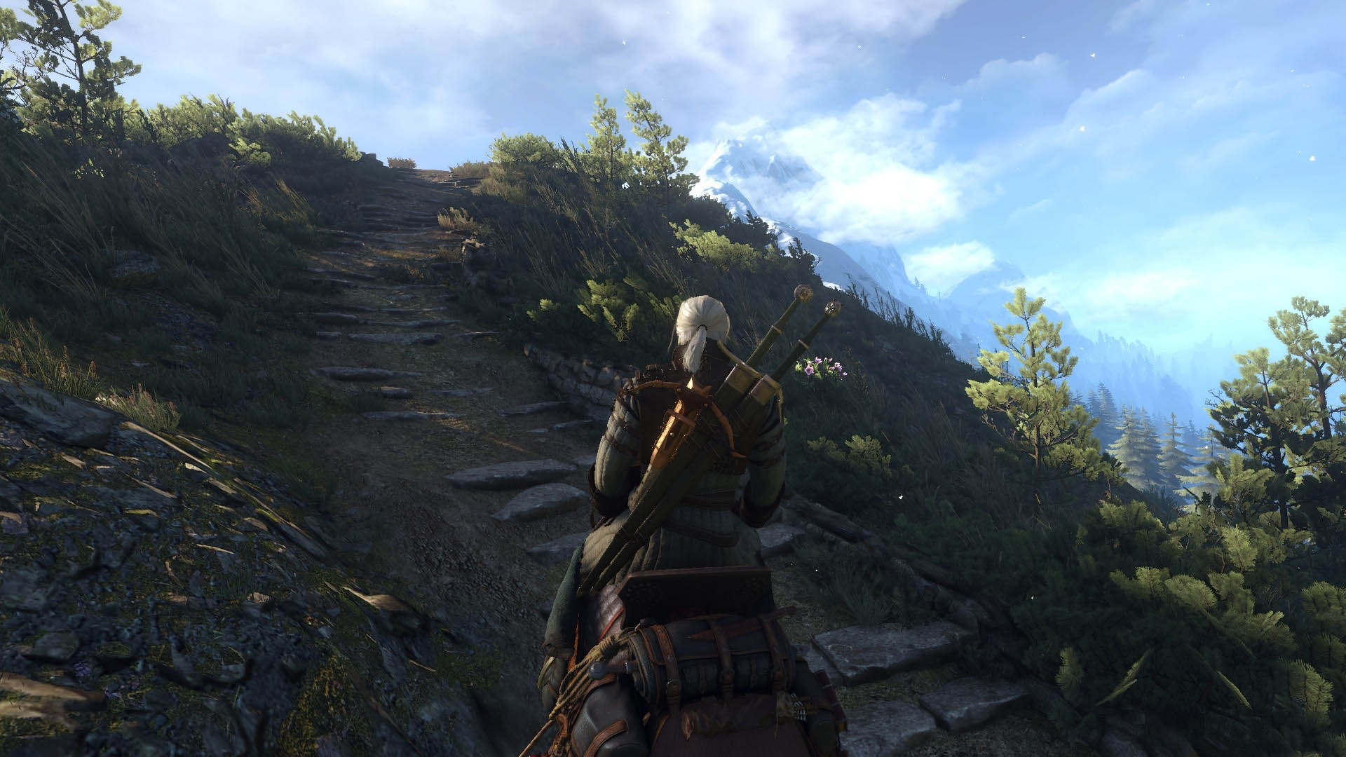 《巫师3》Mod高清截图壁纸(19)