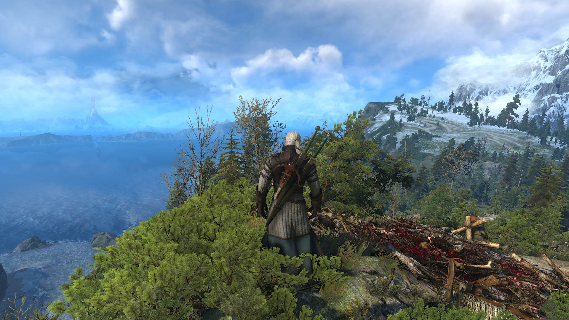 《巫师3》Mod高清截图壁纸(14)