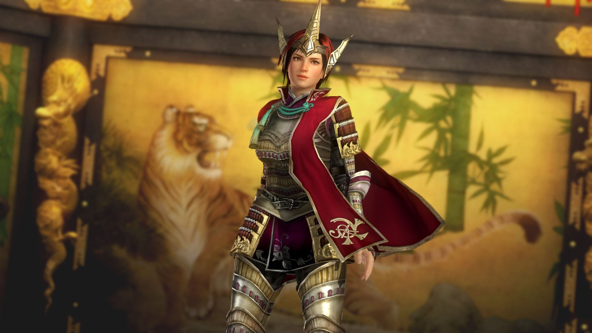 《死或生5：最后一战》高清壁纸二(7)