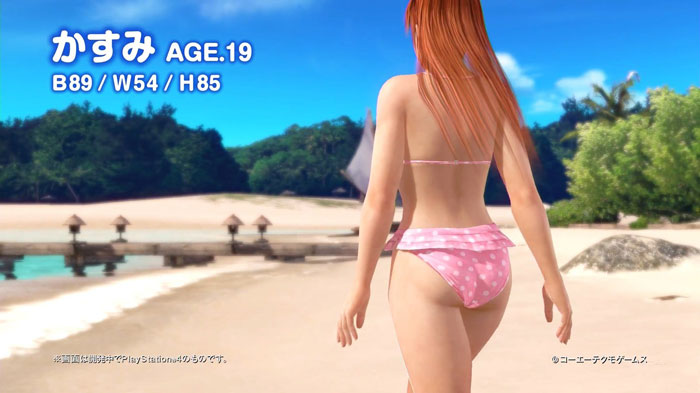 《死或生：沙滩排球3》霞截图(4)