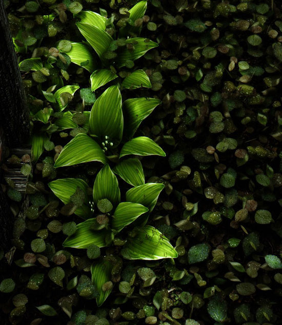 《上古卷轴5》Mod精美截图(5)