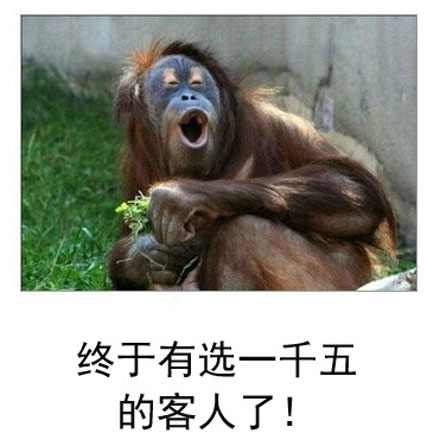 微博恶搞日式冷吐槽第六十六弹(5)