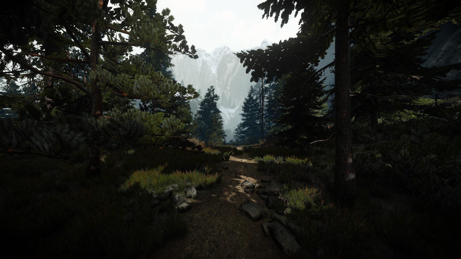 《巫师3》第一人称视角MOD截图(7)