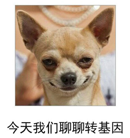 微博恶搞日式冷吐槽第六十六弹(2)