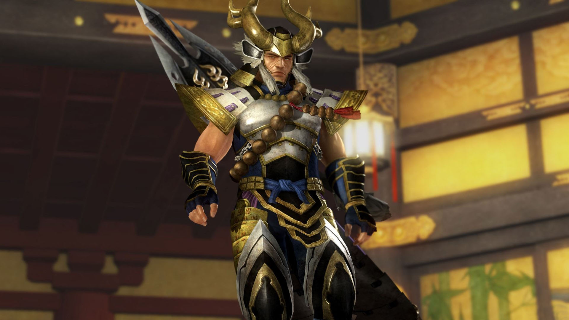 《死或生5：最后一战》高清壁纸二(11)