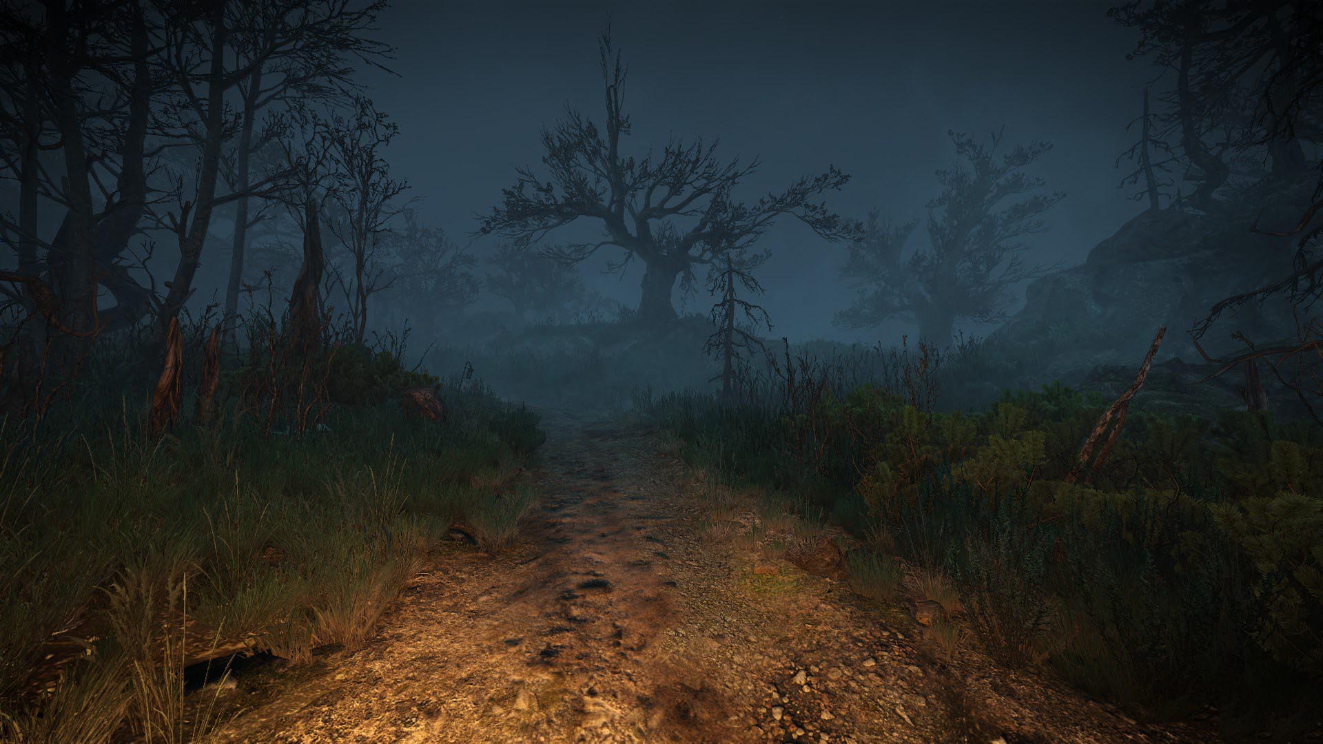 《巫师3》第一人称视角MOD截图(4)