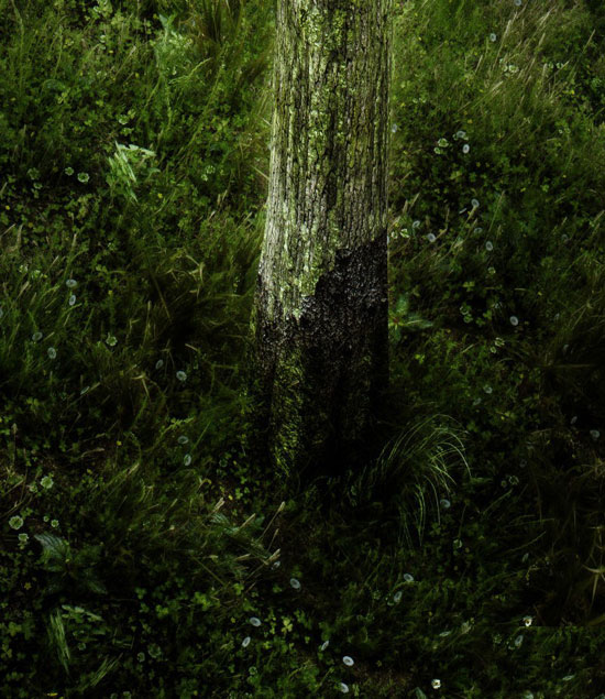 《上古卷轴5》Mod精美截图(3)