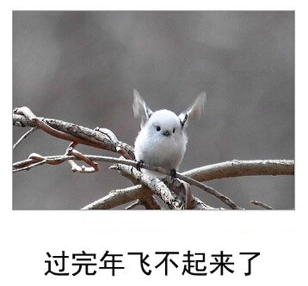 微博恶搞日式冷吐槽第六十六弹(6)