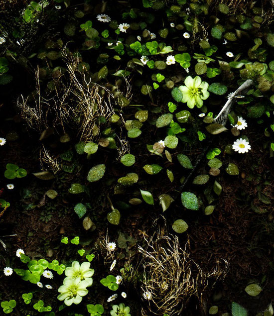 《上古卷轴5》Mod精美截图(7)