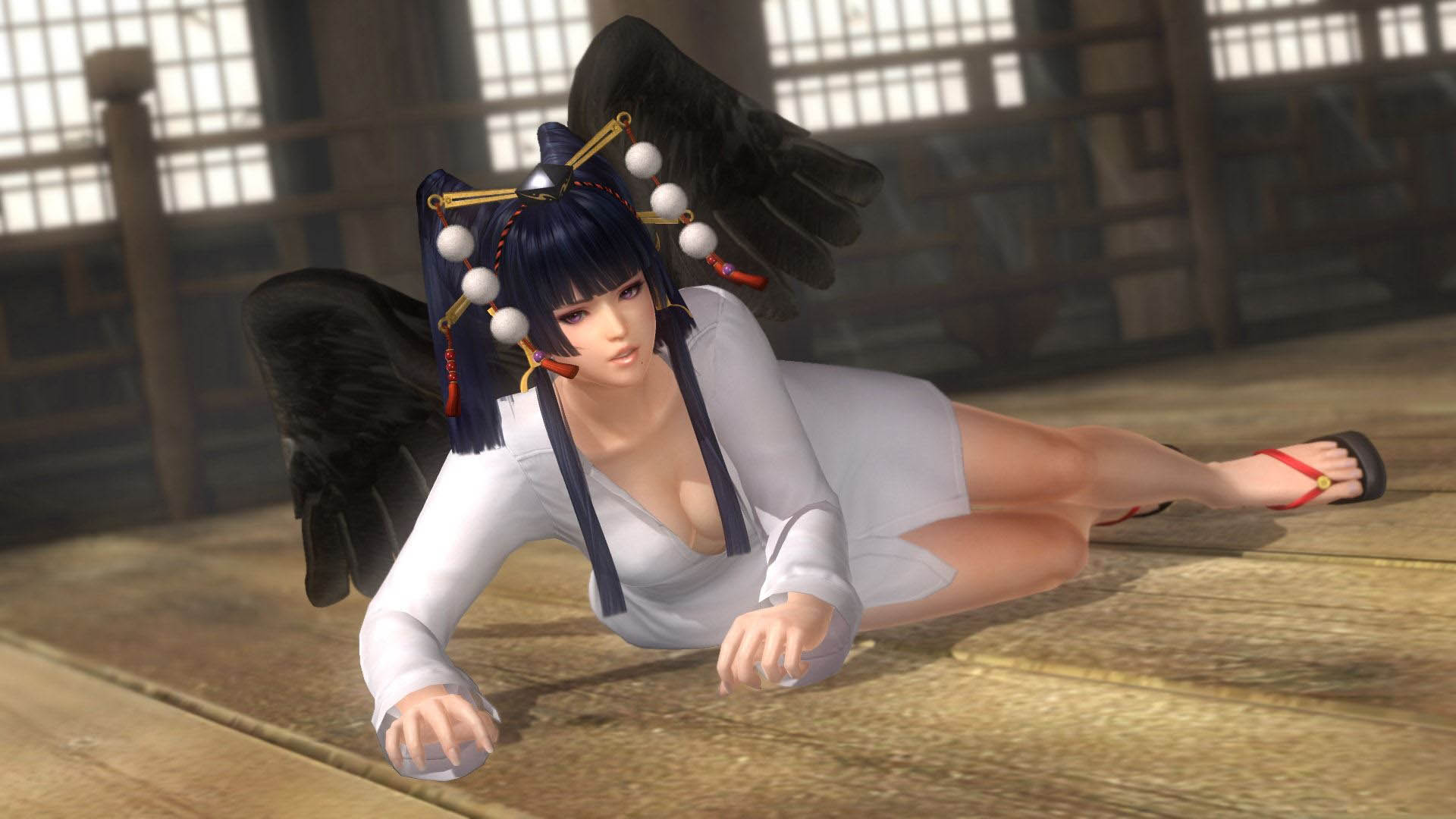 《死或生5：最后一战》最新DLC壁纸(16)