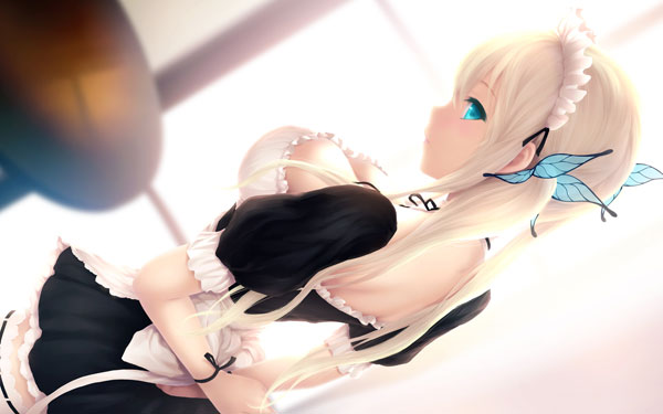 二次元女仆装美少女美图赏(14)