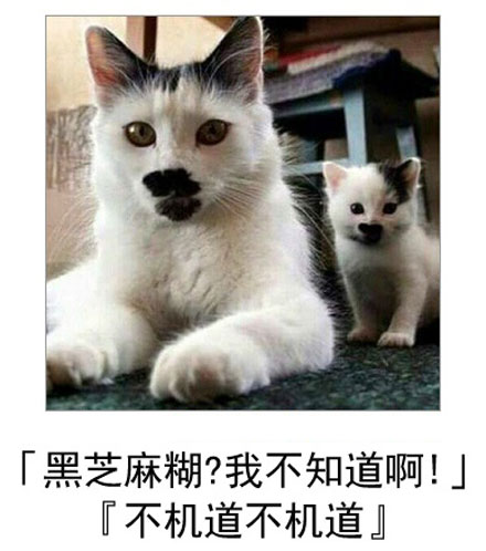 微博恶搞日式冷吐槽第六十七弹(8)