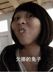 9种兔子表情搞笑GIF