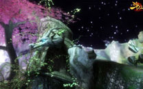 3D战斗网游《斗仙》游戏截图