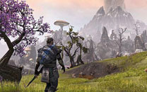 《上古卷轴ol》测试新截图