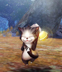 《灵魂回响》精美高清截图