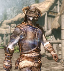 《上古卷轴5天际》MOD精美截图