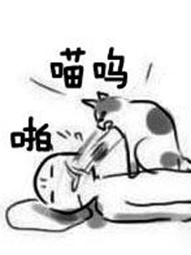 汪星人与喵星人的差别治愈系漫画