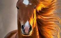 微博神最右盘点第94弹