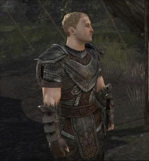 《上古卷轴ol》测试新截图