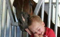 全球趣图精选第53弹