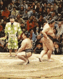 那些突如其来的尴尬瞬间搞笑gif