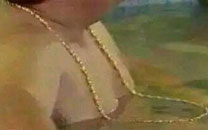 全球趣图精选第56弹