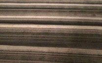 全球趣图精选第59弹