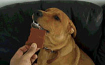 微博神最右盘点第100弹