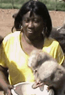 逗比萌宠的坑爹日常搞笑GIF