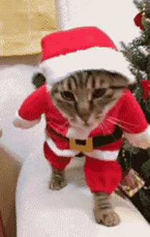 囧雷傻缺GIF图系列139