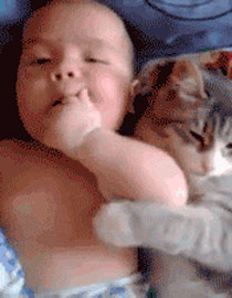 萌娃与保姆版喵星人搞笑GIF