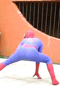 不作死就不会死GIF图系列20