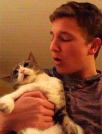 拒绝主人亲吻的傲娇萌宠GIF