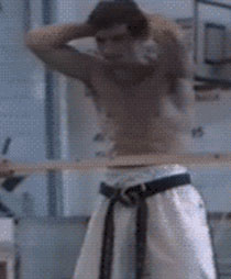 猪一样的队友系列爆笑GIF二