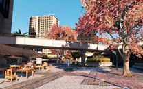 《侠盗飞车5》ENB系列Mod精美截图