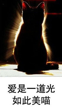 微博恶搞日式冷吐槽第五十八弹