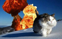 微博恶搞日式冷吐槽第六十一弹