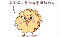 嗷大喵真棒之叶良辰牌五仁月饼