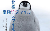 史上最治愈系写真《北极·南极的微笑》走红