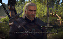 《巫师3：狂猎》MOD精美截图