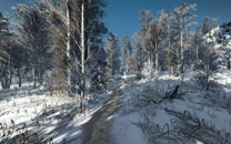 《巫师3》第一人称视角MOD截图