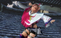 《死或生5：最后一战》高清壁纸二